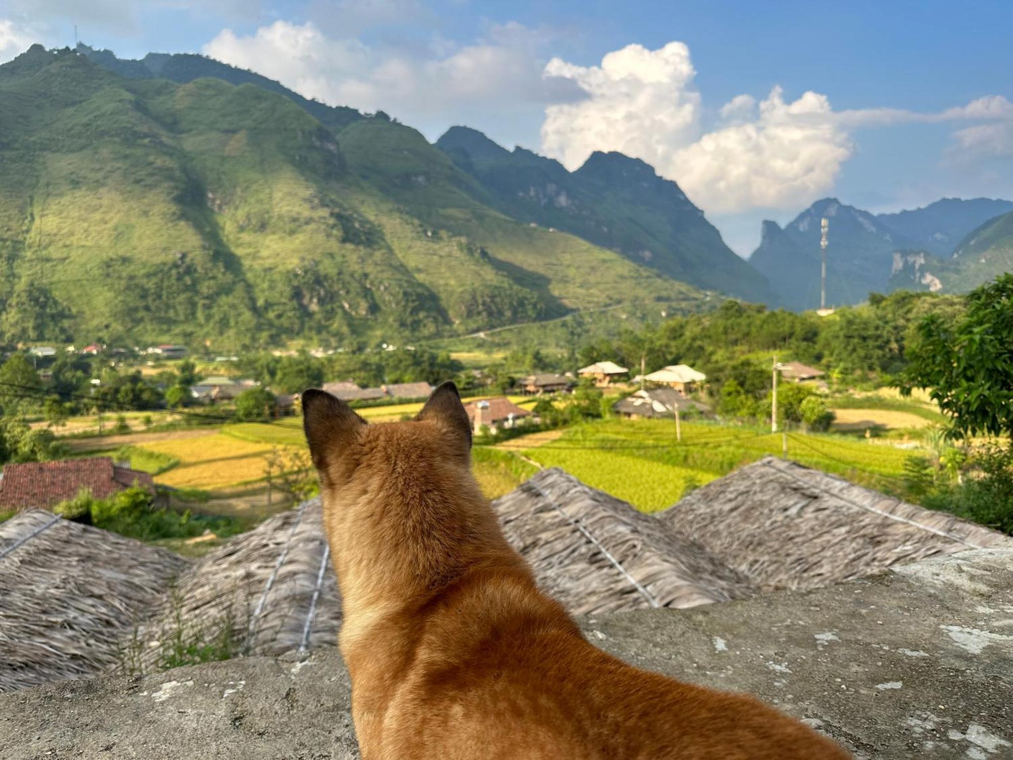 Du Gia Cozy Homestay & Tours Lang Cac Экстерьер фото